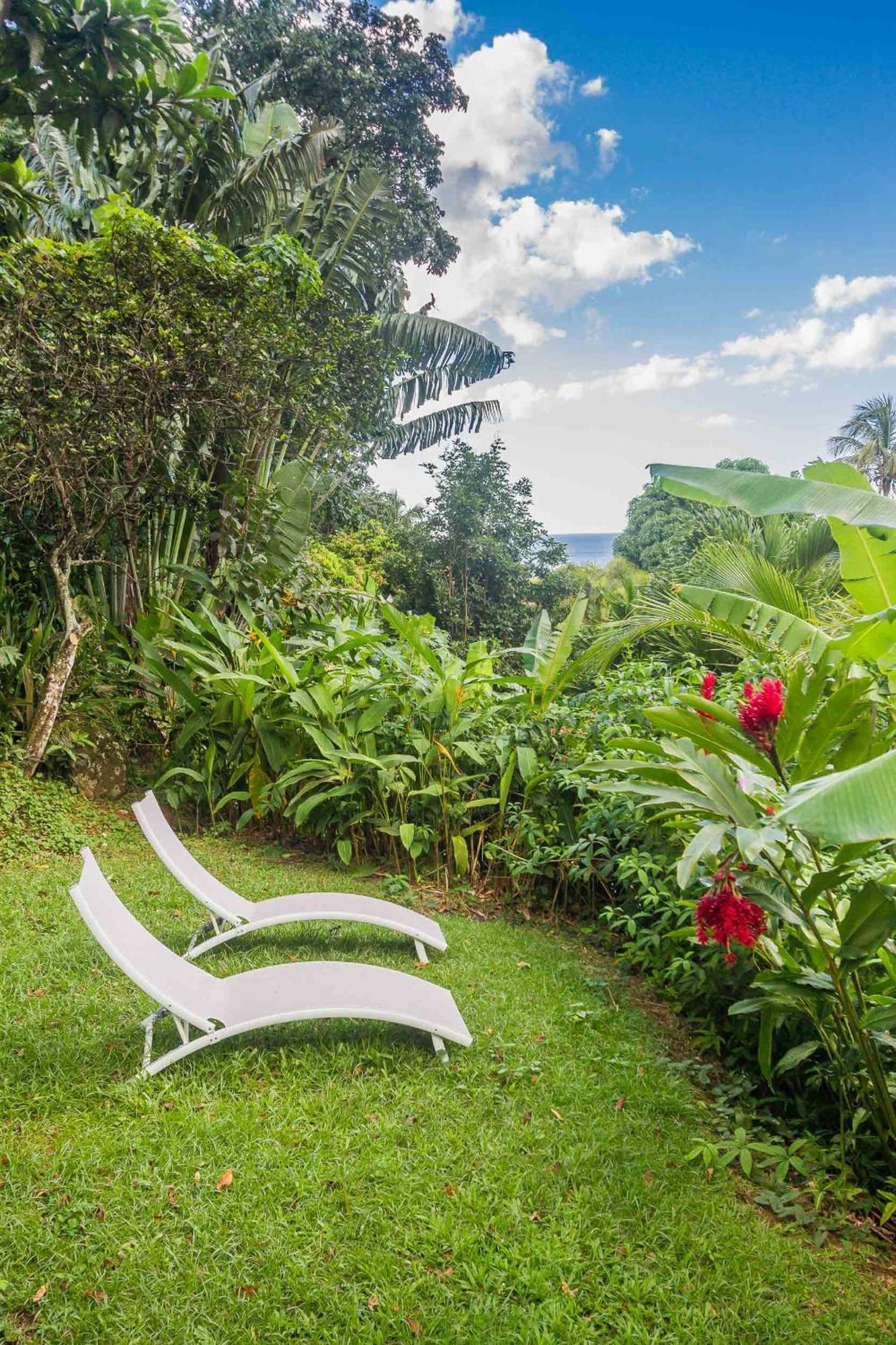 Ecolodges Karet Deshaies Exterior foto